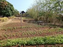 View 41