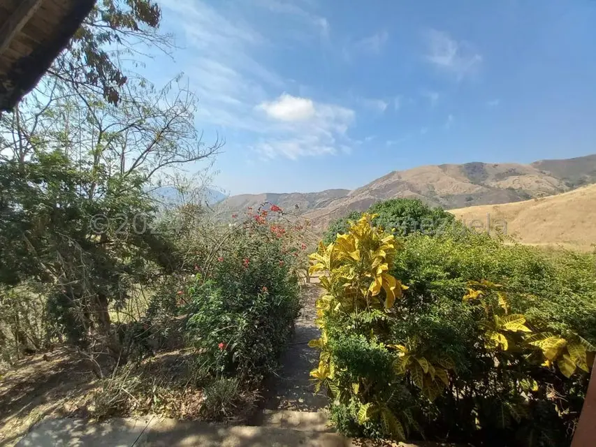 Casa (Finca) en Venta en Distrito San Casimiro, Aragua - 5