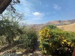 View 5