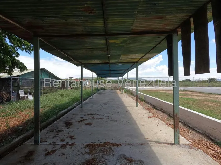 Comercial (Club Campestre) en Venta en Parroquia El Cuji, Lara - 23