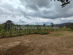 View 18