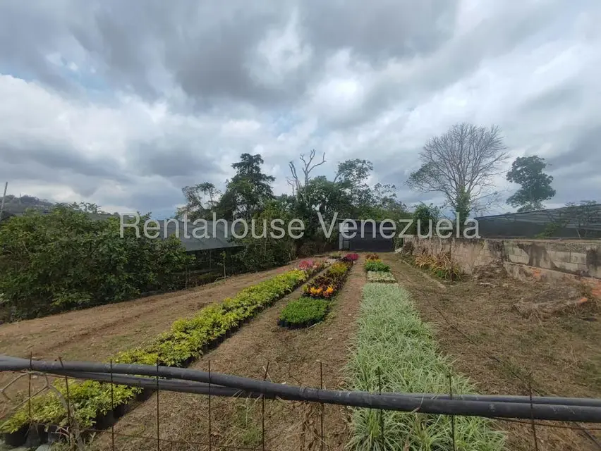 Terreno (Comercial) en Venta en El Hatillo, Distrito Metropolitano - 19