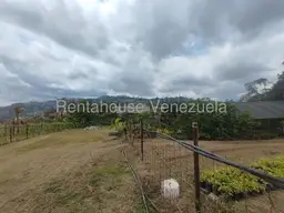View 21