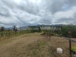 View 22