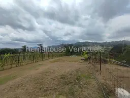 View 23