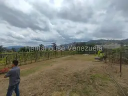 View 24