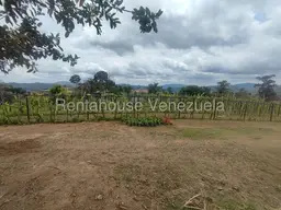 View 25