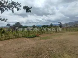 View 28