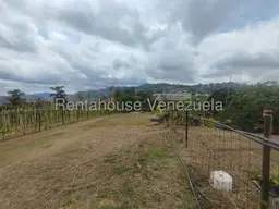 View 35
