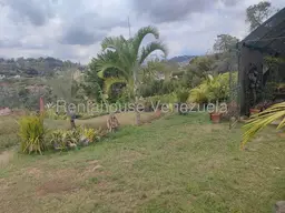 View 37