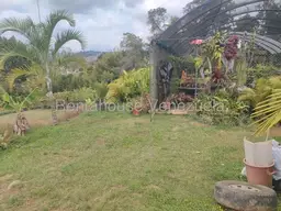 View 38