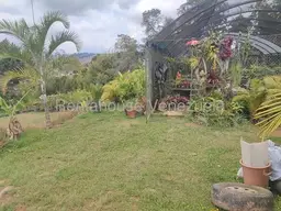 View 39