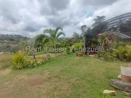 View 41