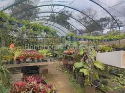 View 43