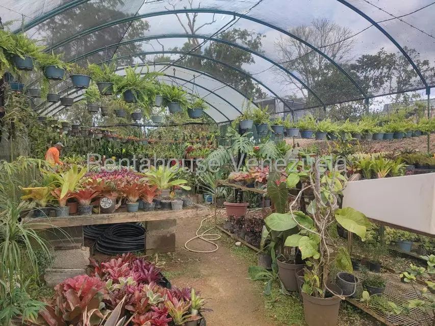Terreno (Comercial) en Venta en El Hatillo, Distrito Metropolitano - 44