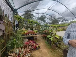 View 45
