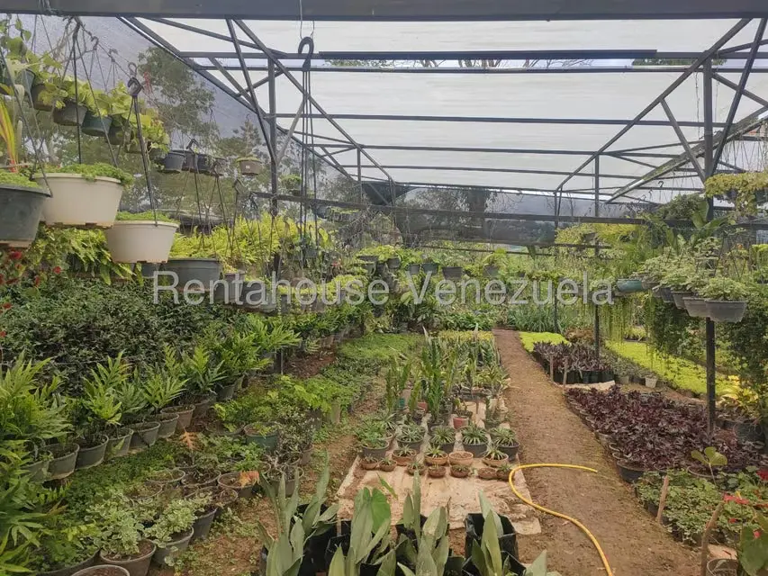 Terreno (Comercial) en Venta en El Hatillo, Distrito Metropolitano - 46