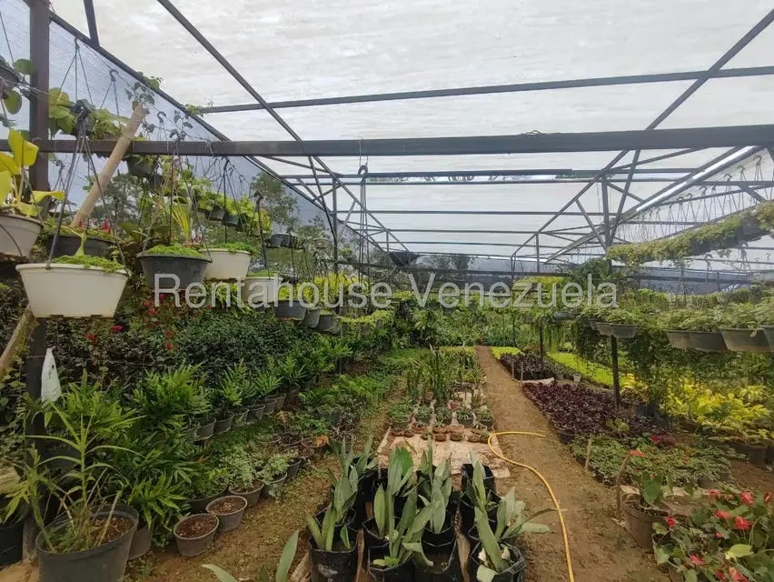 Terreno (Comercial) en Venta en El Hatillo, Distrito Metropolitano - 47
