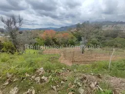 View 48