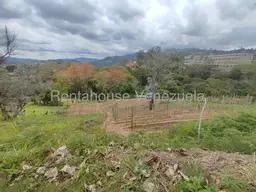 View 49