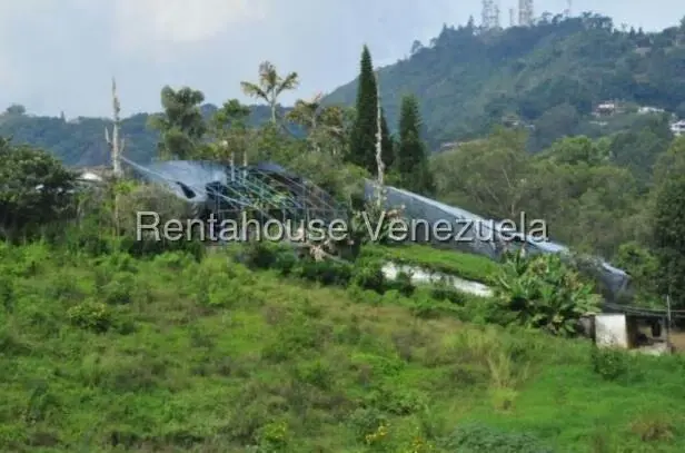 Terreno (Comercial) en Venta en El Hatillo, Distrito Metropolitano - 8