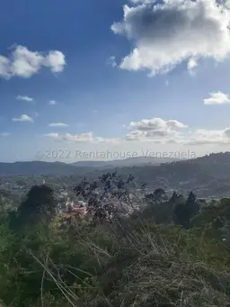 Vista 18