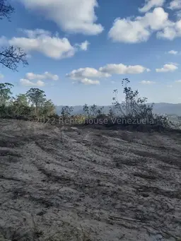 Vista 19