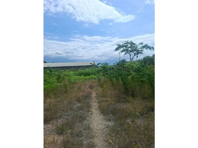 Vendo terreno 52.000m2 Zona Industrial Cloris-Guarenas 8717