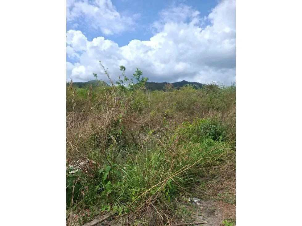 Vendo terreno 52.000m2 Zona Industrial Cloris-Guarenas 8717 - 8