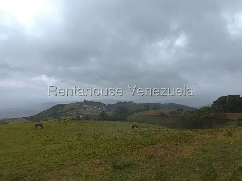 Terreno (Finca) en Venta en Jimenez, Lara