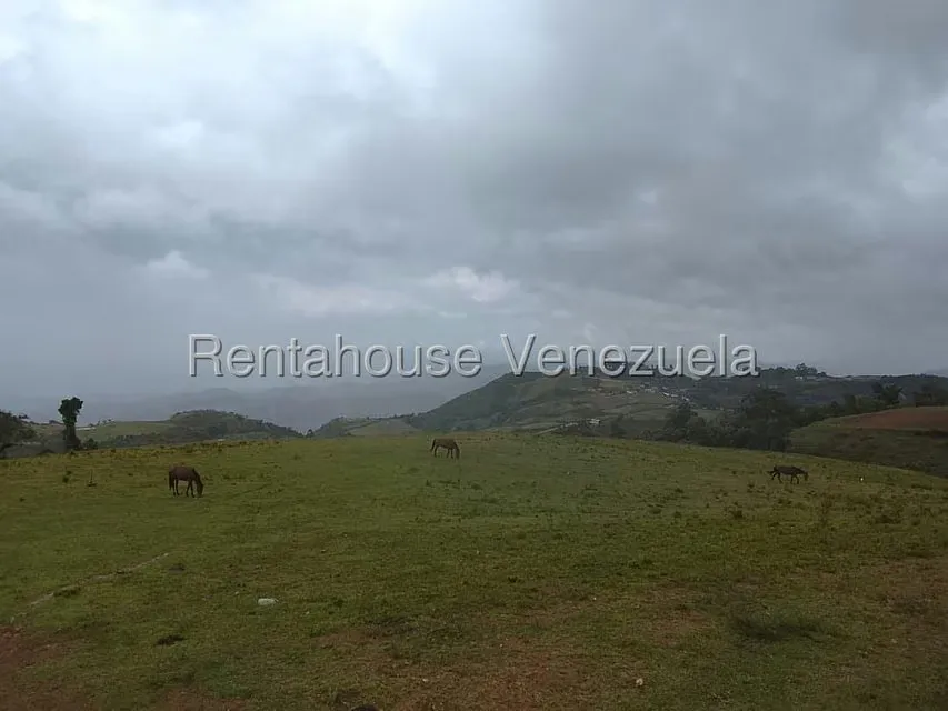 Terreno (Finca) en Venta en Jimenez, Lara - 2