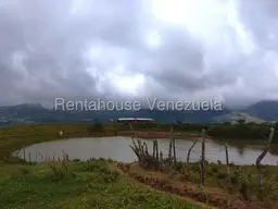 Vista 5