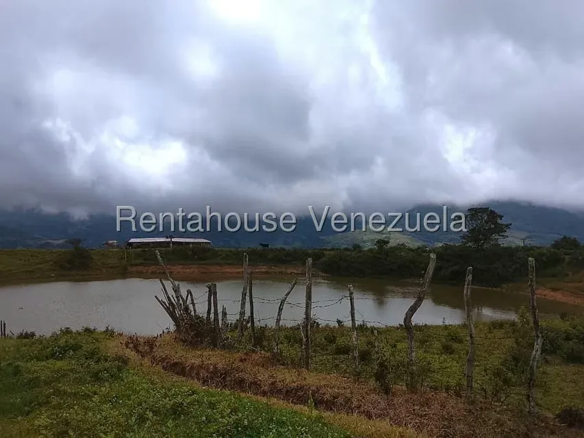 Terreno (Finca) en Venta en Jimenez, Lara - 6