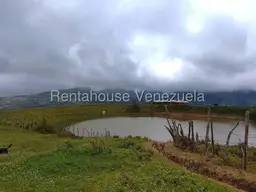 Vista 7