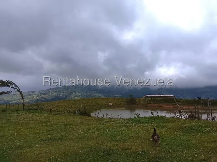 Terreno (Finca) en Venta en Jimenez, Lara - 9