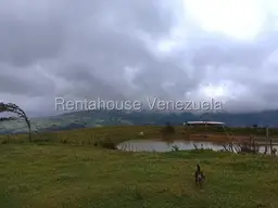 Vista 9