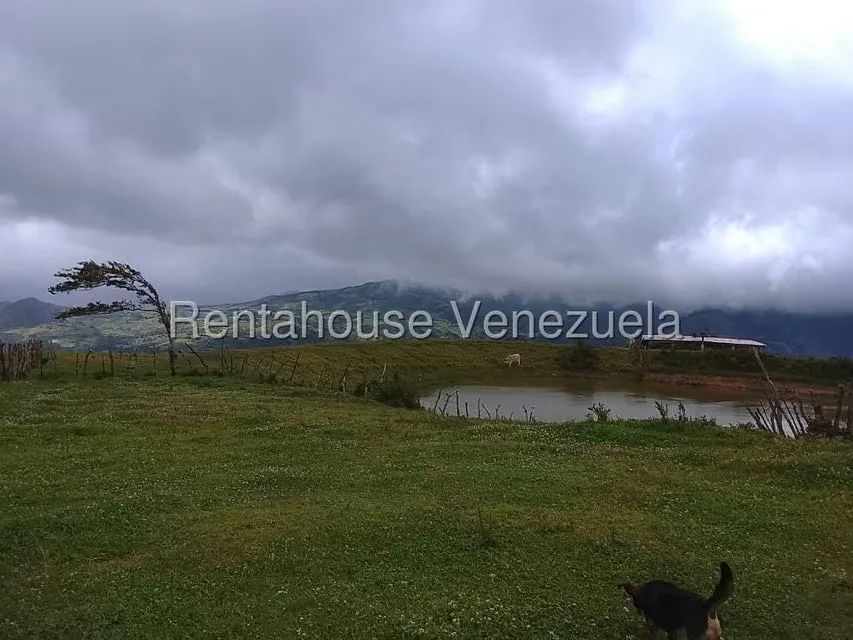 Terreno (Finca) en Venta en Jimenez, Lara - 10