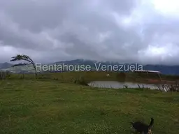 Vista 10