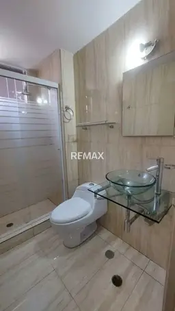 Vista 16