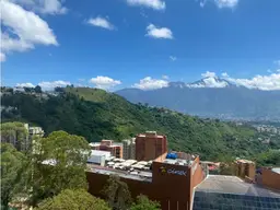 Vista 14