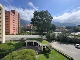 Vista 14