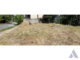 Vista 4