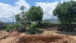 Vista 16