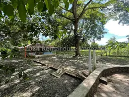 View 47