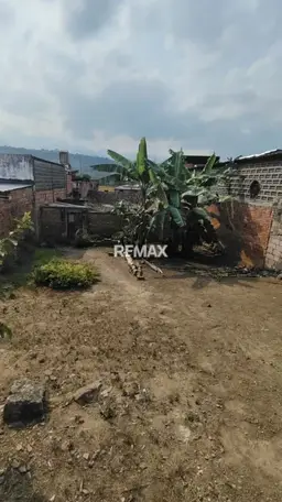 Vista 5
