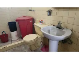 Vista 21