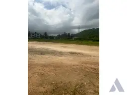 Vista 5