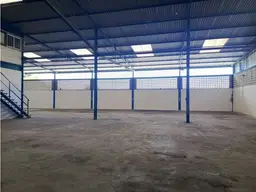 Vista 5