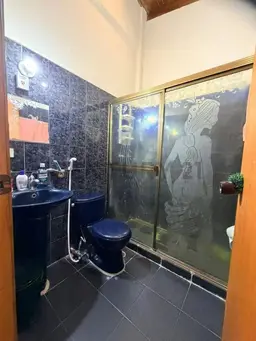 Vista 14