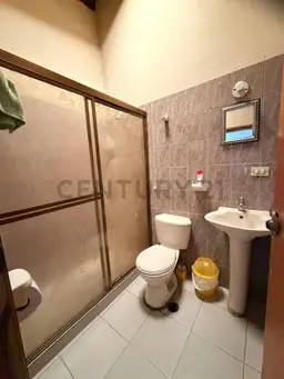 Vista 25